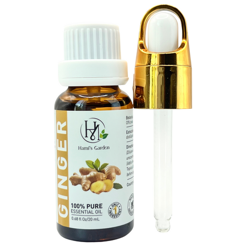 Ginger Essential Oil – 0.68 fl Oz/20 mL