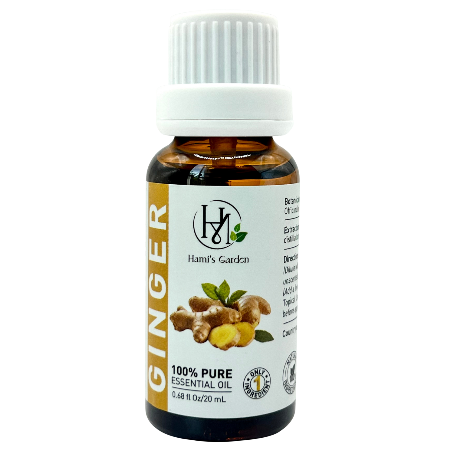 Ginger Essential Oil – 0.68 fl Oz/20 mL