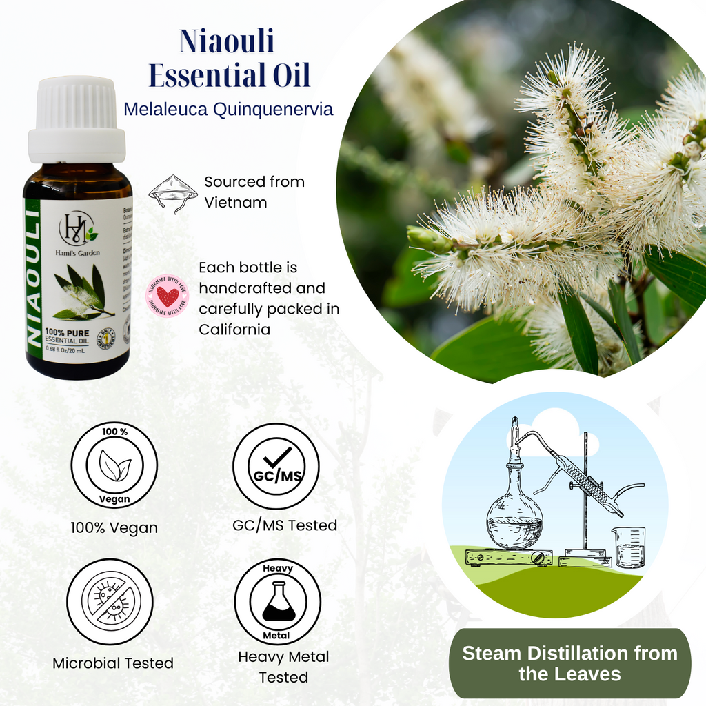 Niaouli Essential Oil – 0.68 fl Oz/20 mL