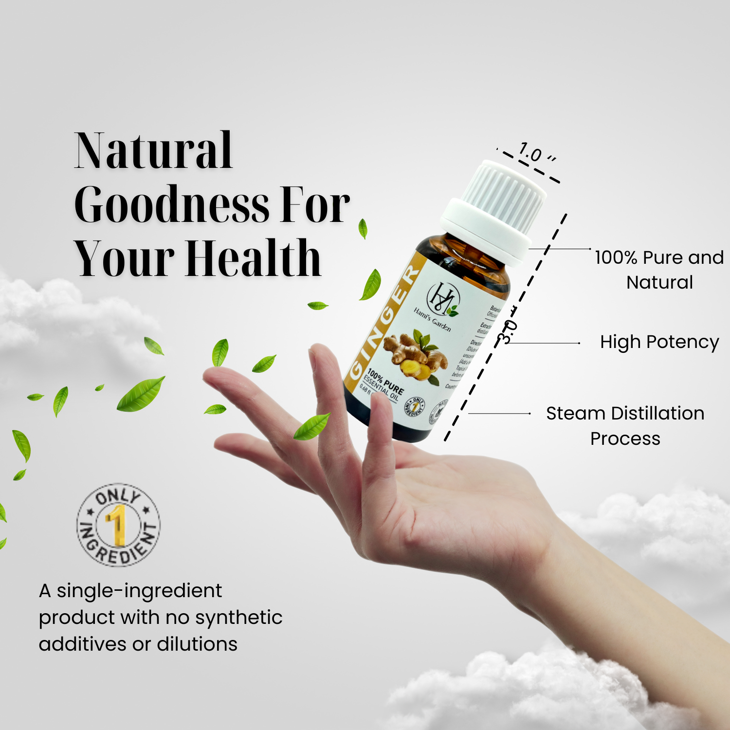 Ginger Essential Oil – 0.68 fl Oz/20 mL