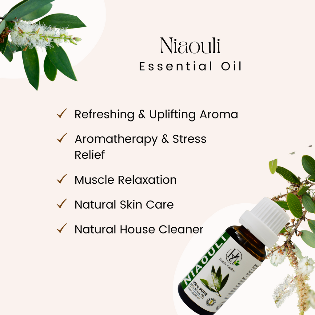 Niaouli Essential Oil – 0.68 fl Oz/20 mL