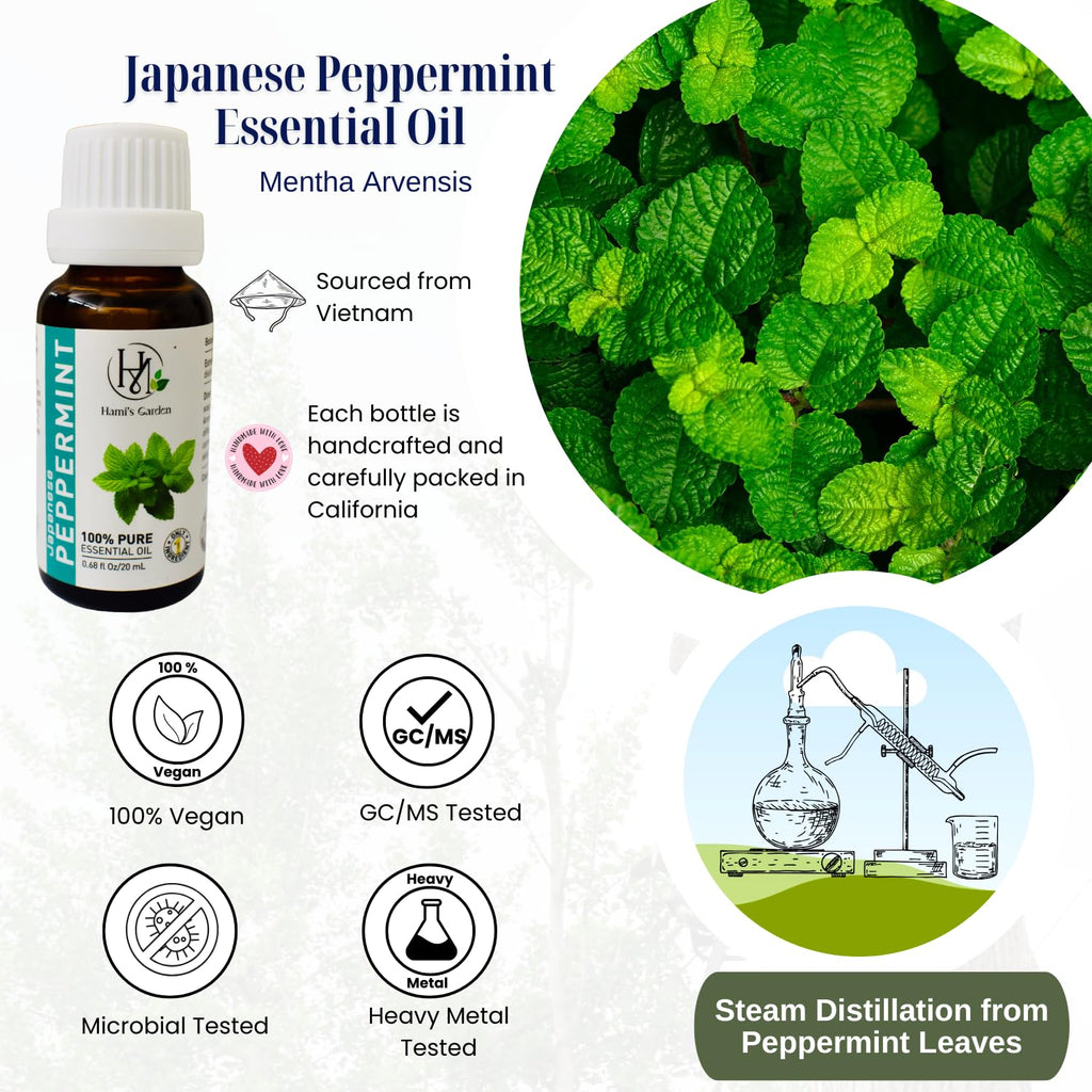 Japanese Peppermint Essential Oil – 0.68 fl Oz/20 mL